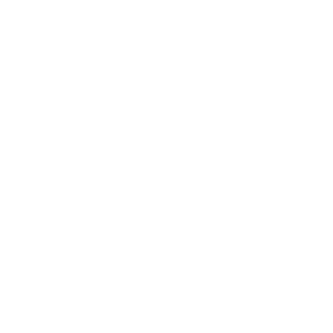 ARO logo white